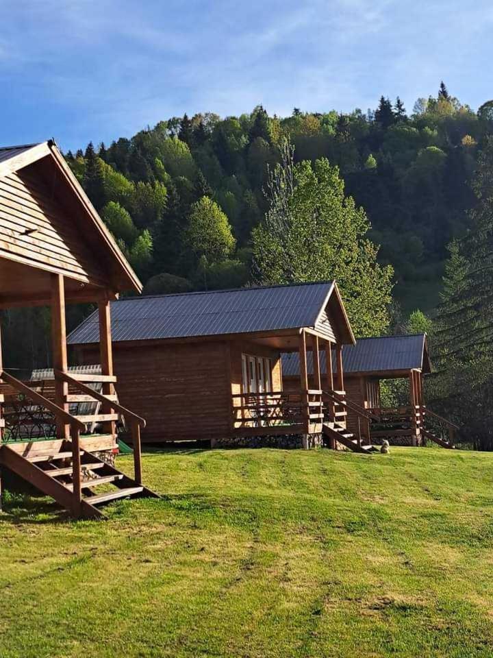 Cabane Areama Neagra Izvoru Mureşului Eksteriør bilde