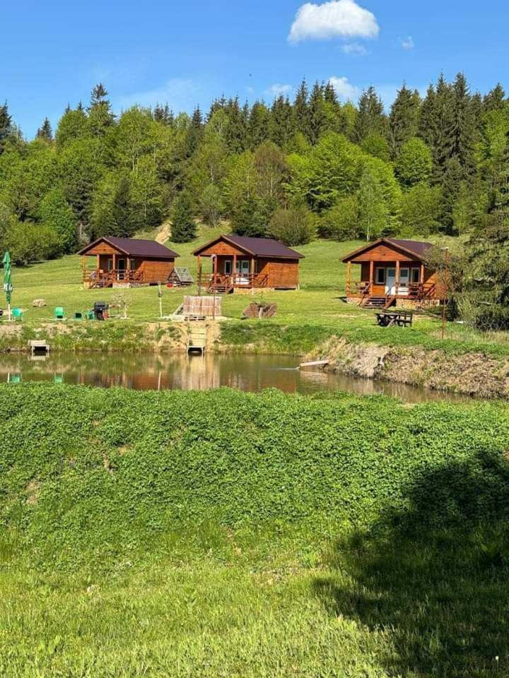 Cabane Areama Neagra Izvoru Mureşului Eksteriør bilde